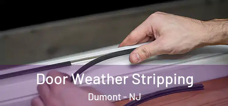  Door Weather Stripping Dumont - NJ