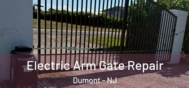  Electric Arm Gate Repair Dumont - NJ