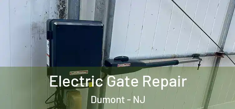  Electric Gate Repair Dumont - NJ