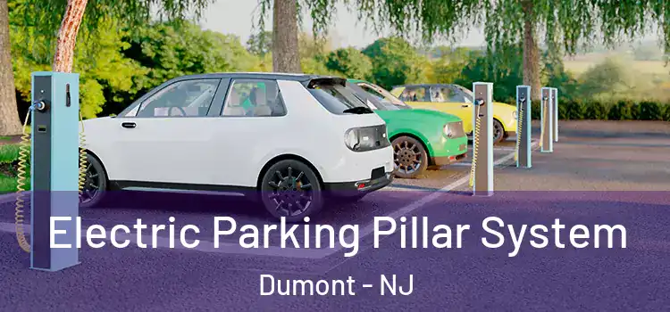  Electric Parking Pillar System Dumont - NJ