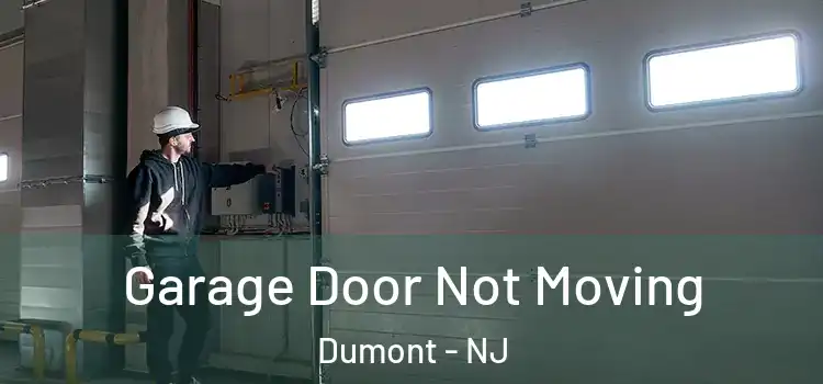  Garage Door Not Moving Dumont - NJ
