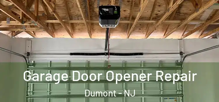  Garage Door Opener Repair Dumont - NJ
