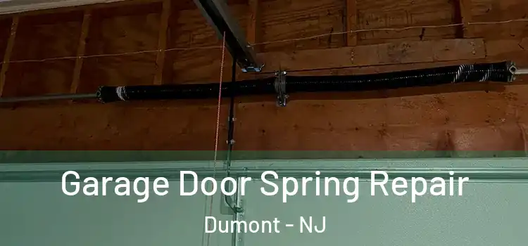  Garage Door Spring Repair Dumont - NJ