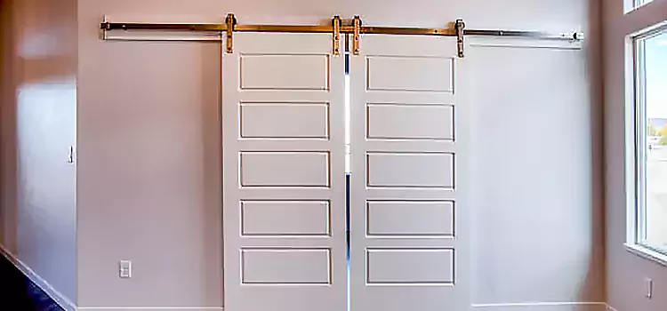 Glass Barn Door with Installation Hardware Kit Dumont