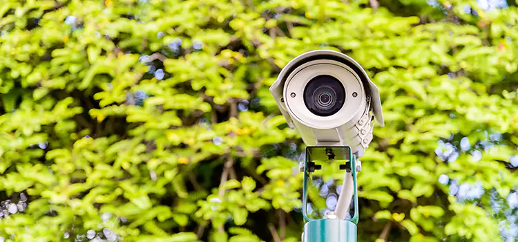 Advanced Surveillance Solutions for Every Need in Dumont