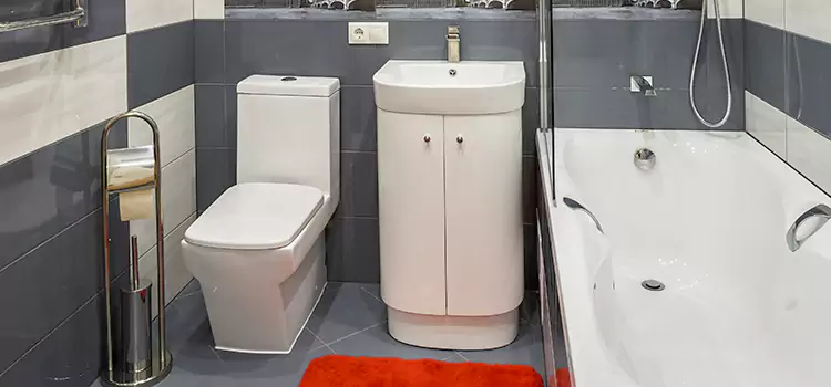 Hansgrohe Shaving Mirror Dumont