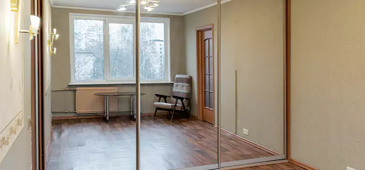 Mirror Closet Door Roller Replacement Dumont