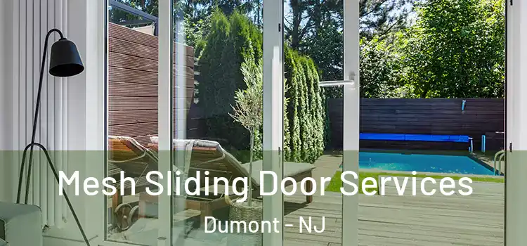  Mesh Sliding Door Services Dumont - NJ